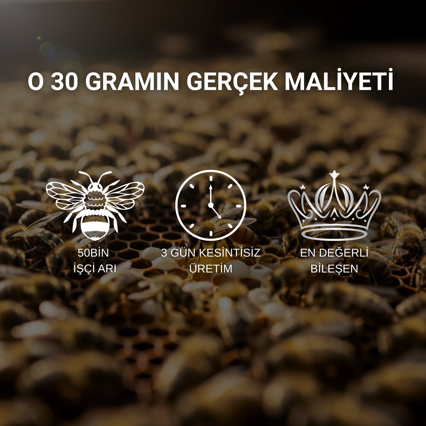 DÖRT GÜÇ BAL KARIŞIMI - Enerjiyle Uyanmanın Formülü